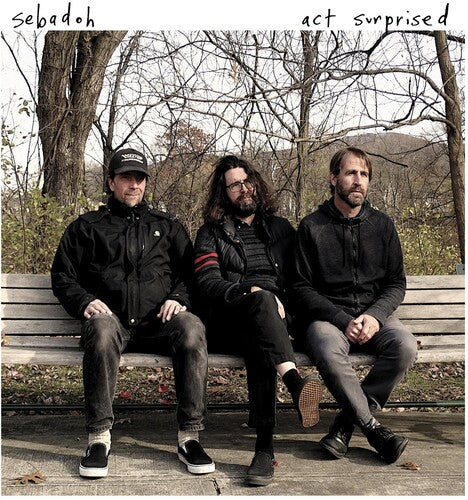 Sebadoh: Act Surprised - VINYL LP