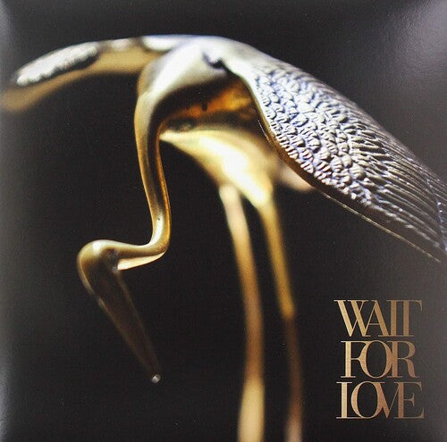 Pianos Become the Teeth: Wait For Love - VINYL LP