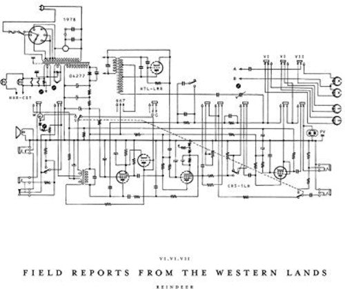 James Reindeer: Field Reports From The Western Lands - VINYL LP