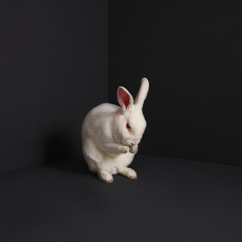 Brume: Rabbits - VINYL LP