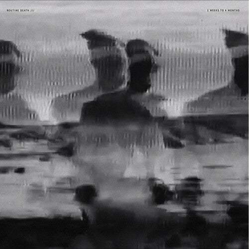 Routine Death: 2 Weeks To 4 - VINYL LP