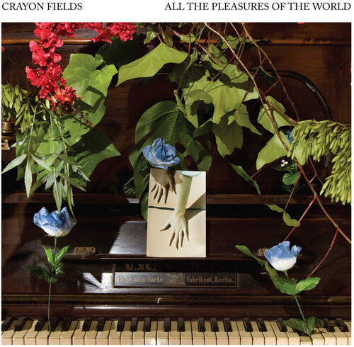 The Crayon Fields: All the Pleasures Of the World (Deluxe Edition) (Color Vinyl) - VINYL LP