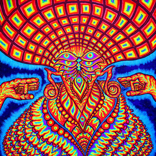 The Dream Syndicate: The Universe Inside - VINYL LP