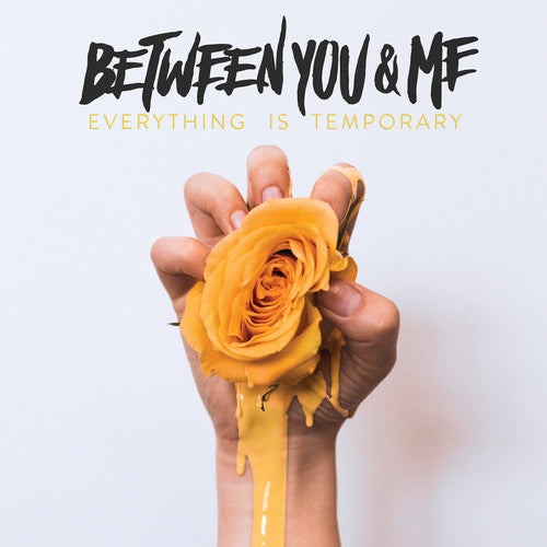 Between You & Me: Everything Is Temporary - VINYL LP