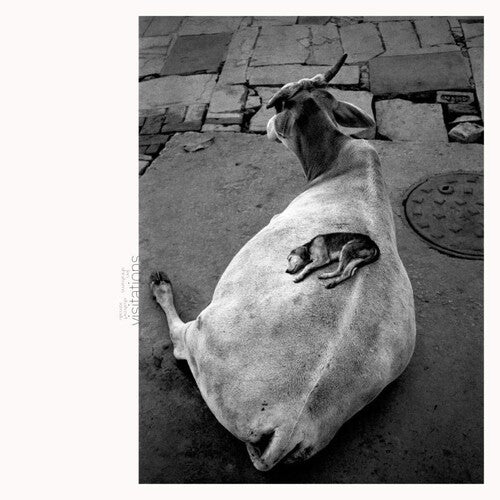 Leo Abrahams: Visitations - VINYL LP