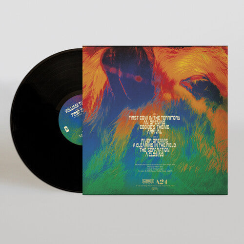 William Tyler: Music From First Cow - VINYL LP