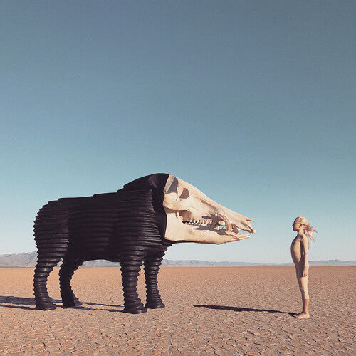 Man Man: Dream Hunting In The Valley Of The In-between - VINYL LP