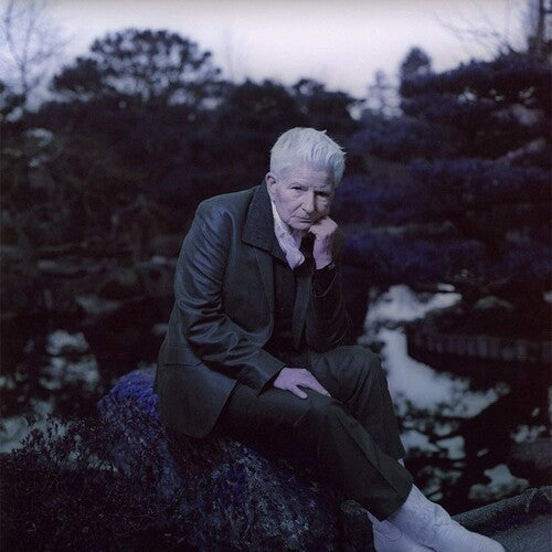 Girl Friday: Androgynous Mary - VINYL LP