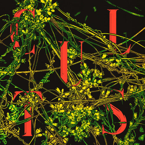 Cults: Host - VINYL LP