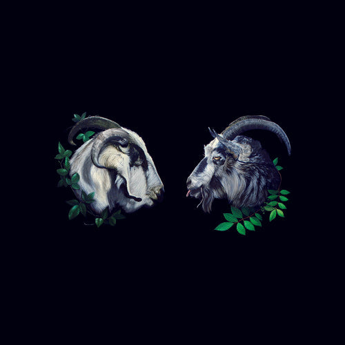 Dbuk: Songs Nine Through Sixteen - VINYL LP