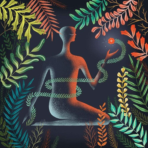 Loma: Don't Shy Away - VINYL LP