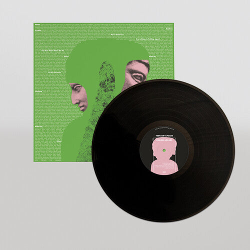 Teenage Fanclub: Endless Arcade - VINYL LP