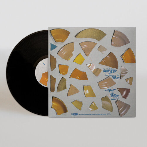 The Clean: Unknown Country - VINYL LP