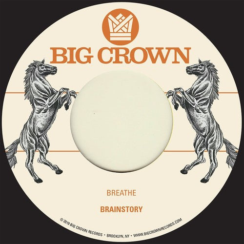 Brainstory: Breathe/ Sorry - VINYL LP