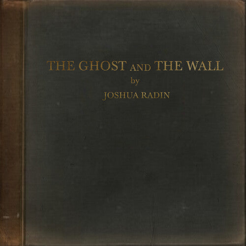 Joshua Radin: The Ghost And The Wall - VINYL LP