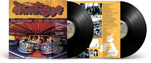 The Waterboys: Room To Roam (Half Speed Master) - VINYL LP