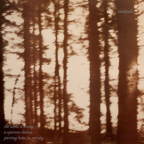 Cindytalk: The Wind Is Strong - VINYL LP