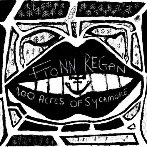 Fionn Regan: 100 Acres Of Sycamore - VINYL LP