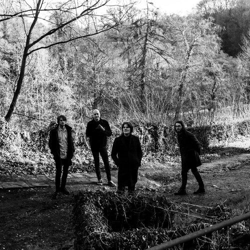 The Be Positives: Everything About - VINYL LP