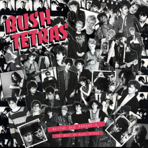 Bush Tetras: Rhythm & Paranoia: The Best of Bush Tetras - VINYL LP