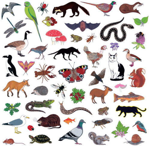 Modern Nature: Island Of Noise - VINYL LP