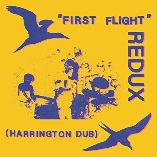 Chris Forsyth: First Flight Redux (Harrington Dub) - VINYL LP