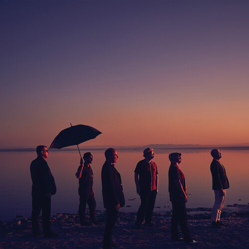 The Slackers: Don't Let The Sunlight Fool Ya - VINYL LP