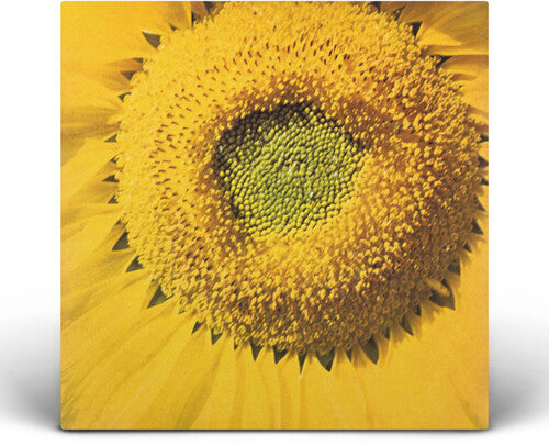 Marvos Valle: Girassol - VINYL LP