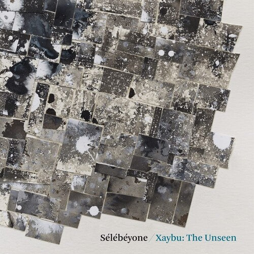 Steve Lehman: Xaybu: The Unseen - VINYL LP