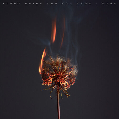 Fiona Brice: And You Know I Care - VINYL LP