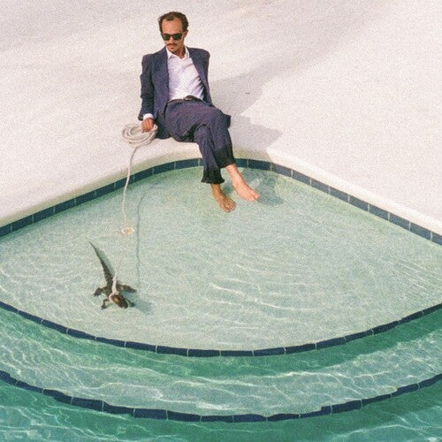 PWNT: Days In The Summer - VINYL LP