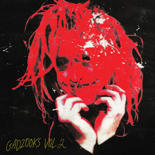 Caleb Landry Jones: Gadzooks Vol. 2 - VINYL LP