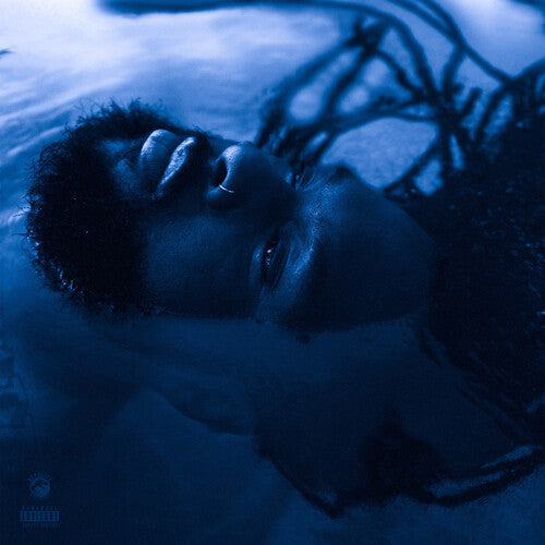 Rexx Life Raj: The Blue Hour - VINYL LP