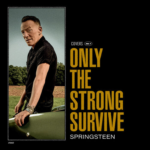 Bruce Springsteen: Only The Strong Survive - VINYL LP