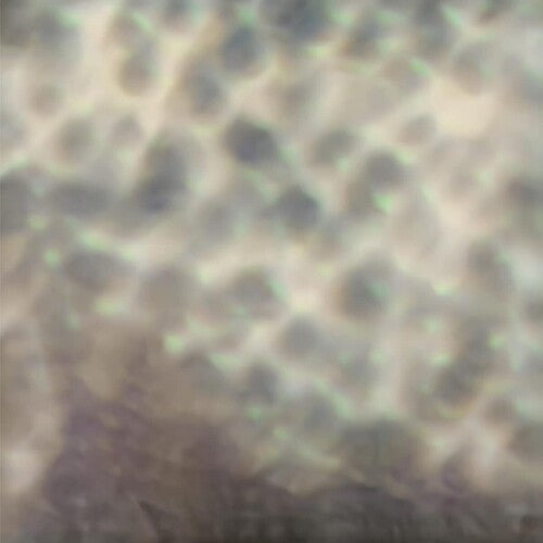 Carlos Cipa: Ourselves as we are - VINYL LP