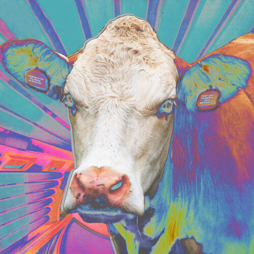 Eyes Of Others: Eyes Of Others - VINYL LP