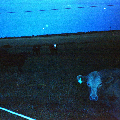 waveform*: Antarctica - Dark Blue - VINYL LP