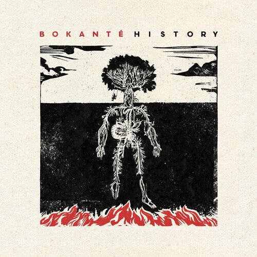 Bokante: History - VINYL LP
