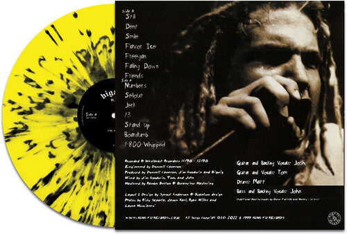 Bigwig: Stay Asleep - Yellow/black Splatter - VINYL LP
