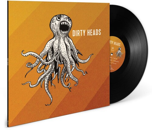 Dirty Heads: Dirty Heads - VINYL LP