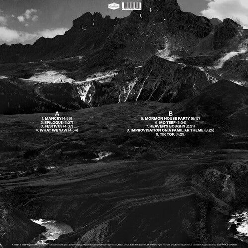 Andrew Bird: Outside Problems - VINYL LP