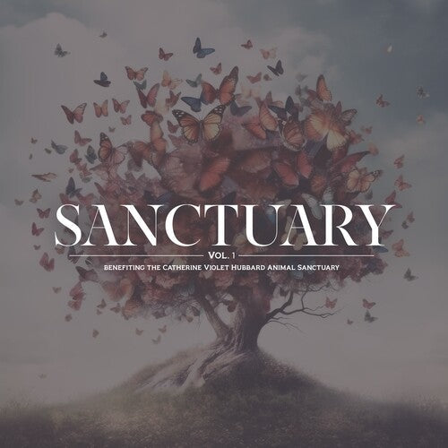 Various Artists: Sanctuary Vol. 1 (Various Artists) - VINYL LP