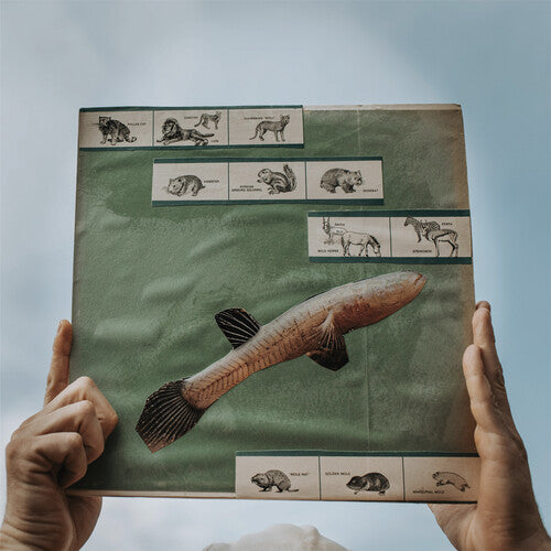 Cotton Jones: The River Strumming - VINYL LP