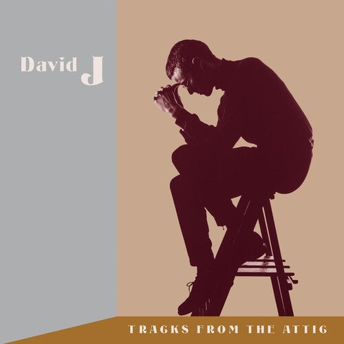 David J: Tracks From The Attic - VINYL LP