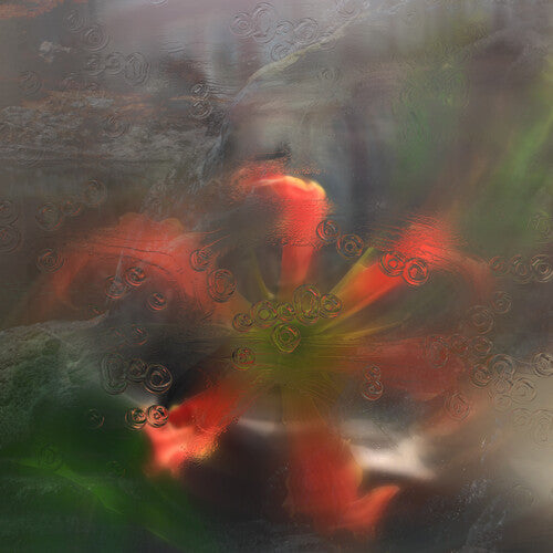 Upsammy: Germ in a Population of Buildings - VINYL LP