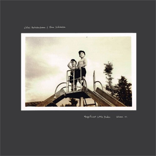 Chihei Hatakeyama: Magnificent Little Dudes Vol. 1 - VINYL LP