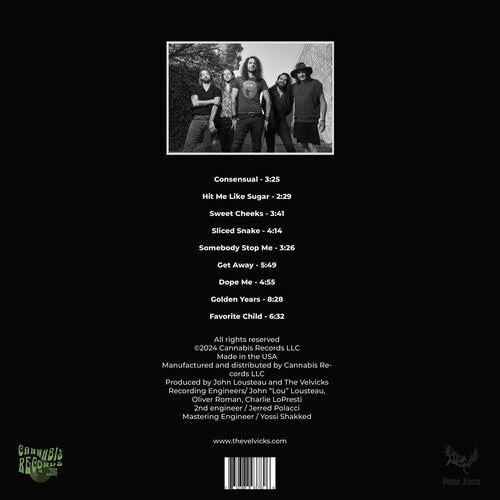 The Velvicks: Greatest Hits - VINYL LP