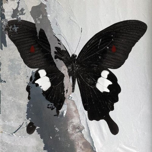 Death Cult: Paradise Now - VINYL LP