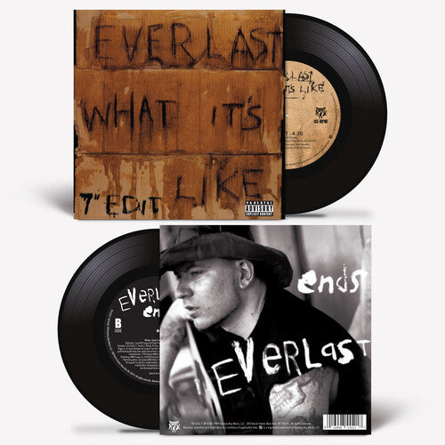 Everlast: What It's Like/Ends - VINYL LP