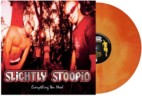 Slightly Stoopid: Everything You Need - VINYL LP